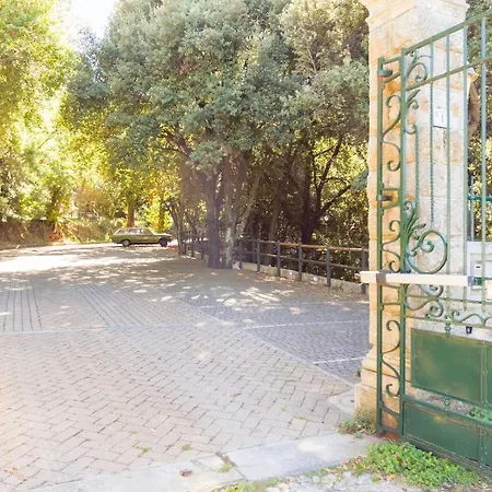 Mono Patrizia *